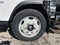 2024 Chevrolet Low Cab Forward 5500 HD 2WD Reg Cab 176
