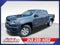 2019 Chevrolet Colorado 4WD Work Truck